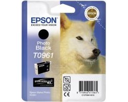 Картридж Epson StPhoto R2880 photo black
