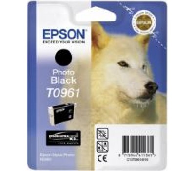 Картридж Epson StPhoto R2880 photo black