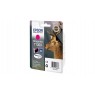 Картридж Epson St SX525WD/Office B42WD/BX625FWD magenta XL new
