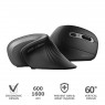 Мышь Trust VERRO ERGONOMIC WL