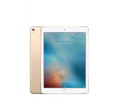 iPad Pro 9.7 (0)