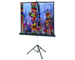 Экран на треноге Projecta Professional 213x213cm, MW