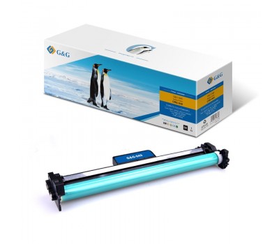 Драм-картридж G&G для Canon 049 LBP112/MFP112/113 2165C001 Black (12000 стр)